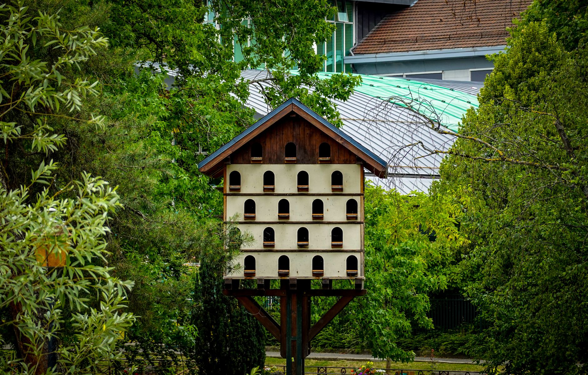 pigeonnier propre installé dans un jardin calme, avec ouvertures protégées, lumière naturelle et zone ombragée autour de l’habitat
